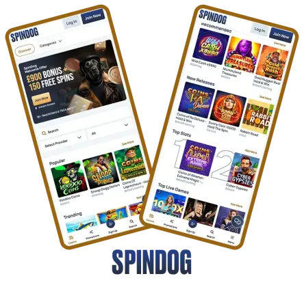 Mobiele Ervaring En App Functionaliteit Voor Spelers